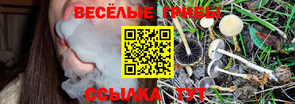 Киреевск  Псилоцибиновые грибы GOLDEN TEACHER  Вход с VPN 